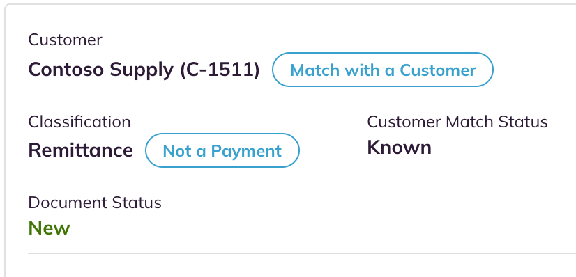 Customer, Classification, Customer Match Status, and Document Status at the top of the Document Information page